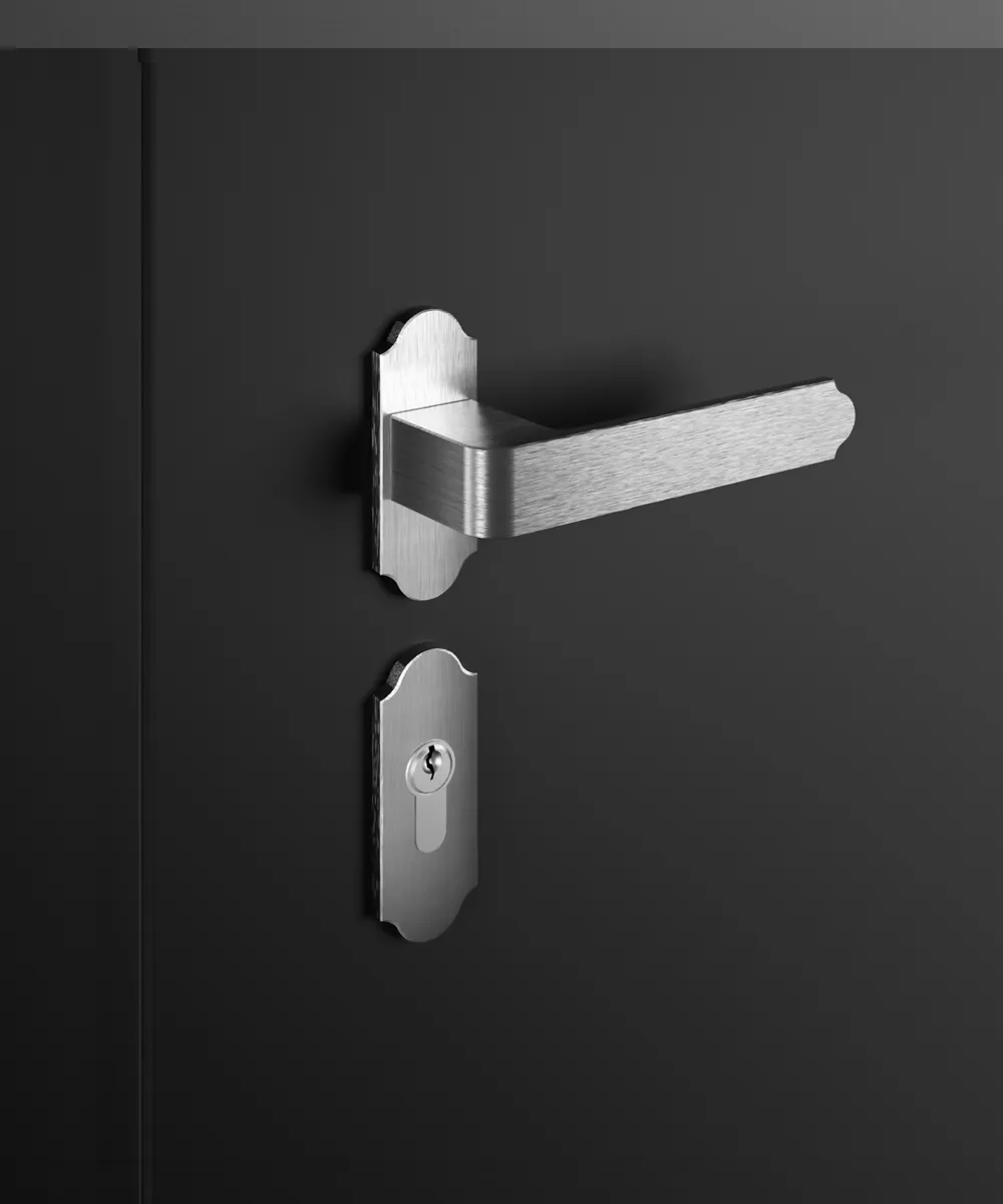 Haustürgriff H6 (silber)